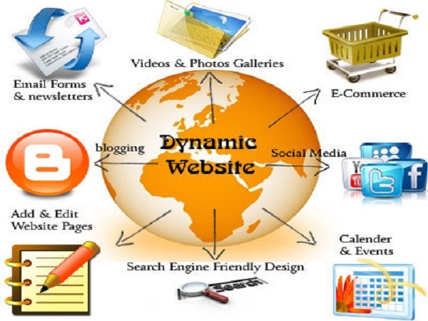 Web App Development